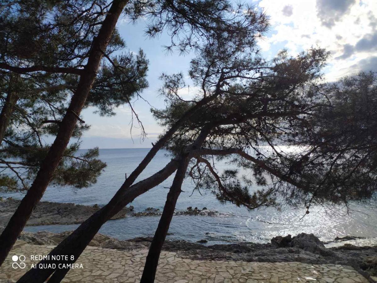 Apartments Marlen Mali Lošinj Exterior foto